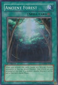Image for Ancient Forest (ANPR-EN048) (ANPR) - YuGiOh