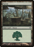 Image for Forest (245) (245) (Rise of the Eldrazi) - Magic: The Gathering