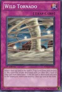 Image for Wild Tornado (5DS3-EN029) (5DS3) - YuGiOh