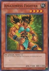 Image for Amazoness Fighter (GLD3-EN005) (GLD3) - YuGiOh