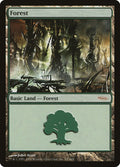 Image for Forest (2004) (5) (Arena Promos) - Magic: The Gathering