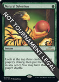 Image for Natural Selection (208) (30th Anniversary Edition) - Magic: The Gathering