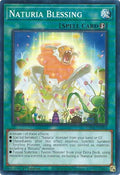 Image for Naturia Blessing (DABL-EN064) (DABL) - YuGiOh