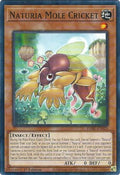 Image for Naturia Mole Cricket (DABL-EN020) (DABL) - YuGiOh