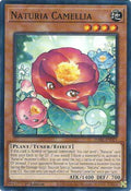 Image for Naturia Camellia (DABL-EN021) (DABL) - YuGiOh