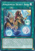 Image for Amazoness Secret Arts (DABL-EN099) (DABL) - YuGiOh