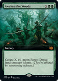 Image for Awaken the Woods (Extended Art) (344) (The Brothers' War) - Magic: The Gathering