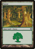 Image for Forest (44) (44) (Knights vs. Dragons) - Magic: The Gathering