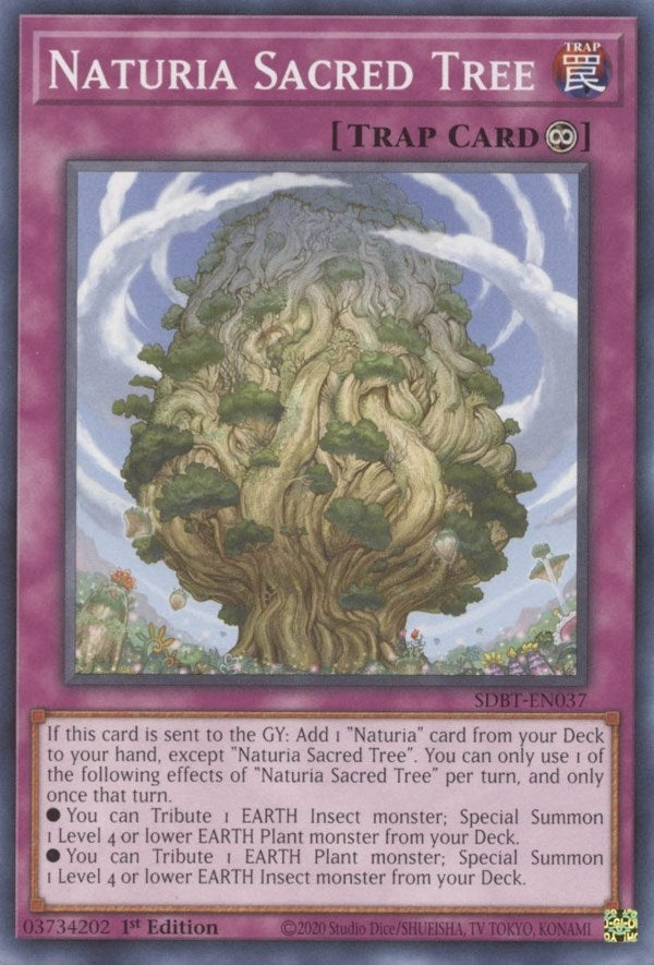 Image for Naturia Sacred Tree (SDBT-EN037) (SDBT) - YuGiOh