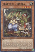 Image for Traptrix Dionaea (SDBT-EN006) (SDBT) - YuGiOh