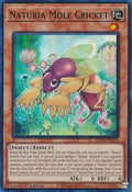 Image for Naturia Mole Cricket (MP23-EN170) (MP23) - YuGiOh