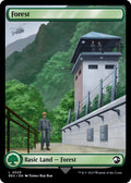 Image for Forest (25) (Universes Beyond: Jurassic World Collection) - Magic: The Gathering