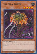 Image for Ibicella Lutea (VASM-EN052) (VASM) - YuGiOh