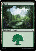Image for Forest (0285) (285) (Murders at Karlov Manor) - Magic: The Gathering