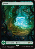 Image for Forest (Samuele Bandini) (5) (Standard Showdown Promos) - Magic: The Gathering