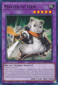 Image for Master of Ham (PHNI-EN040) (PHNI) - YuGiOh