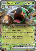 Image for Torterra ex (012/162) (TEF) - Pokemon