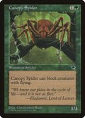 Image for Canopy Spider (217) (Tempest) - Magic: The Gathering