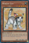 Image for Rescue Cat (Alternate Art) (PCR) (RA02-EN001) (RA02) - YuGiOh