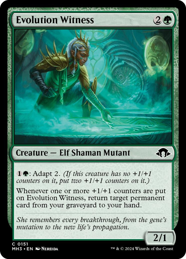 Image for Evolution Witness (151) (Modern Horizons 3) - Magic: The Gathering