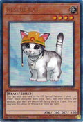 Rescue Cat (PUR) (RA02-EN001) (RA02)