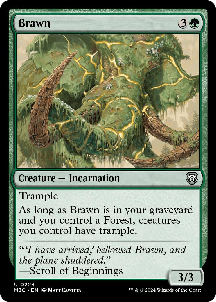 Image for Brawn (224) (Modern Horizons 3) - Magic: The Gathering