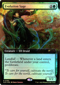 Image for Evolution Sage (Extended Art) (765) (Secret Lair Drop Series) - Magic: The Gathering