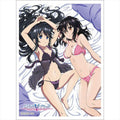 Image for Curtain Damashii: Strike the Blood - Yukina Himeragi & Natsuki Minamiyai (65-Sleeves) - Card Sleeves