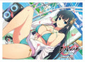Image for Key-th: Shinobi Master Senran Kagura: New Link - Ikaruga / Legendary Bakunyuusai (65-Sleeves) - Card Sleeves