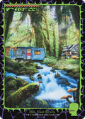 Image for Forest (1656) (1656) (Secret Lair Drop Series) - Magic: The Gathering