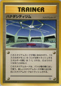 Image for Cerulean City Gym (Leaders' Stadium) - Pokemon Japan