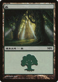 Image for Forest (2007) (5) (Magic Premiere Shop) - Magic: The Gathering