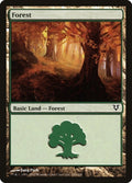 Image for Forest (243) (243) (Avacyn Restored) - Magic: The Gathering