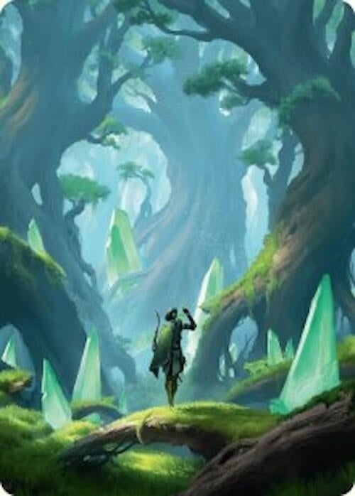 Image for Forest Art Card (25/54) (25) (Foundations) - Magic: The Gathering