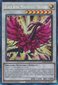 Image for Black Rose Moonlight Dragon (PCR) (RA03-EN038) - YuGiOh