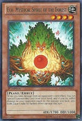 Image for Eco, Mystical Spirit of the Forest (REDU-EN091) (REDU) - YuGiOh