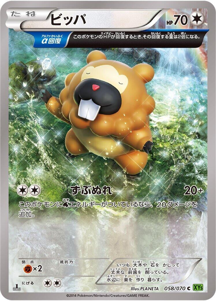 Bidoof (058/070) (XY5-Bt: Tidal Storm)