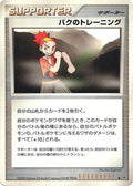Image for Buck's Training (DP5: Cry from the Mysterious) - Pokemon Japan