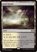 Image for Fetid Heath (362) (Tarkir: Dragonstorm) - Magic: The Gathering