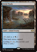 Image for Fetid Pools (363) (Tarkir: Dragonstorm) - Magic: The Gathering