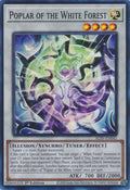 Image for Poplar of the White Forest (ALIN-EN041) (ALIN) - YuGiOh