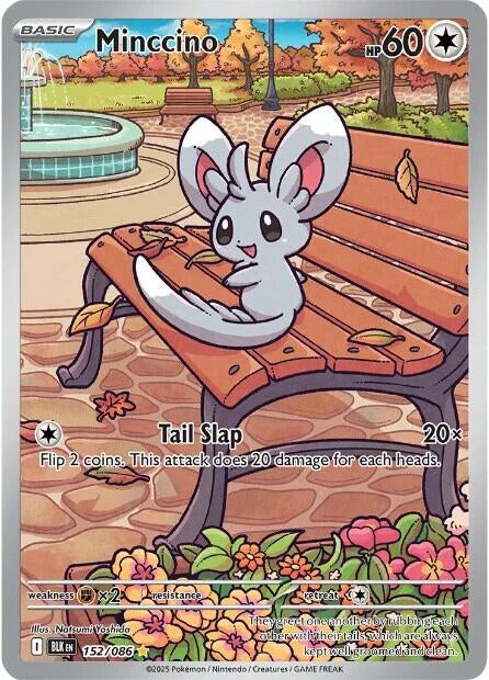 Image for Minccino (152/086) (BLK) - Pokemon