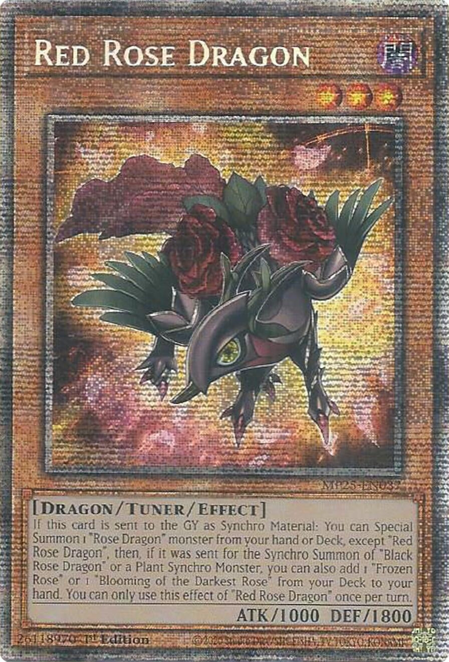 Image for Red Rose Dragon (MP25-EN037) (MP25) - YuGiOh