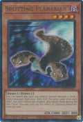 Image for Splitting Planarian (MP25-EN263) (MP25) - YuGiOh