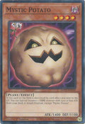 Image for Mystic Potato (MP25-EN339) (MP25) - YuGiOh