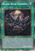 Image for Black Rose Garden (Starlight Rare) (DOOD-EN055) (DOOD) - YuGiOh