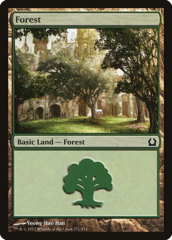 Image for Forest (271) (271) (Return to Ravnica) - Magic: The Gathering