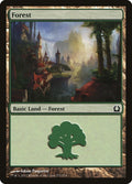 Image for Forest (272) (272) (Return to Ravnica) - Magic: The Gathering