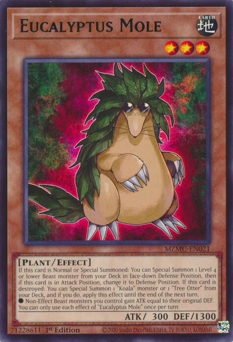 Eucalyptus Mole (MZMU-EN021) (Maze of Muertos)