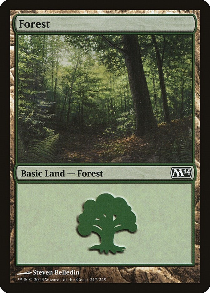 Image for Forest (247) (247) (Magic 2014 (M14)) - Magic: The Gathering